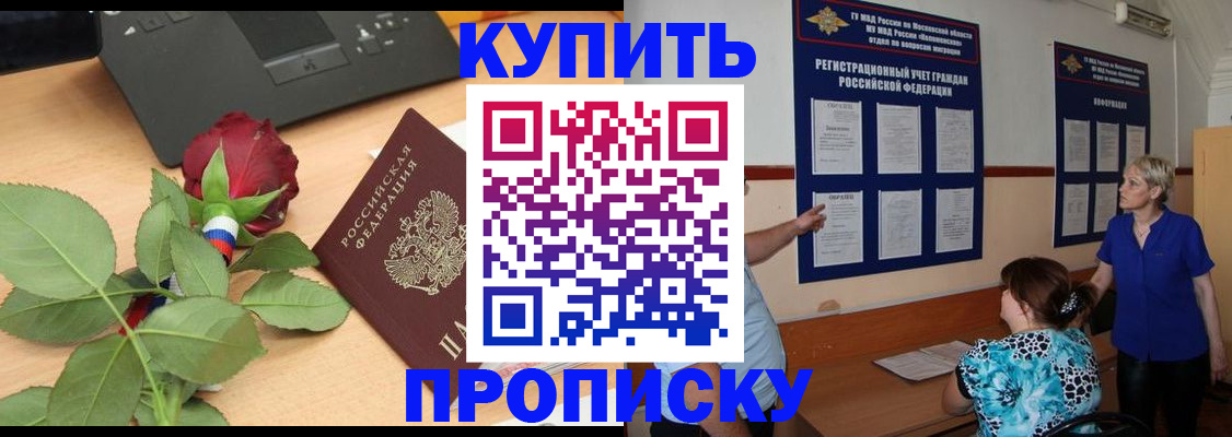 форма 3 в Камчатской области